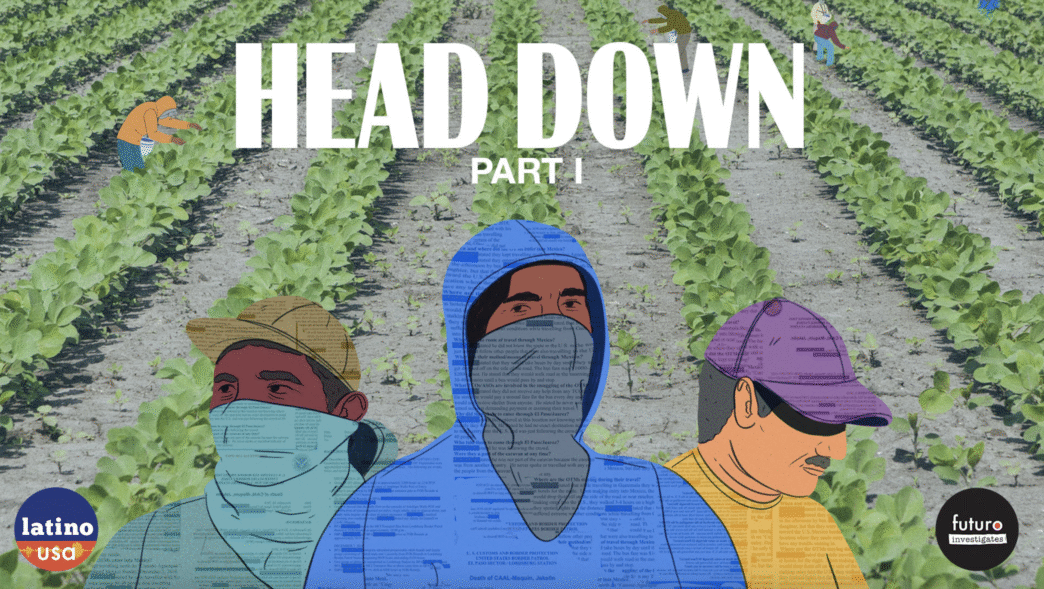 Ilustración Head Down Part I muestra trabajadores agrícolas en un campo. Refleja desafíos laborales en México y LATAM.