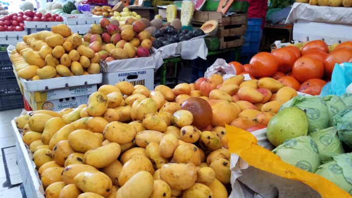 city/destination

Frutas frescas en el Mercado La Cruz de Querétaro, México. Variedad de mangos, naranjas, peras y más. Impulso al comercio local en la ciudad.
