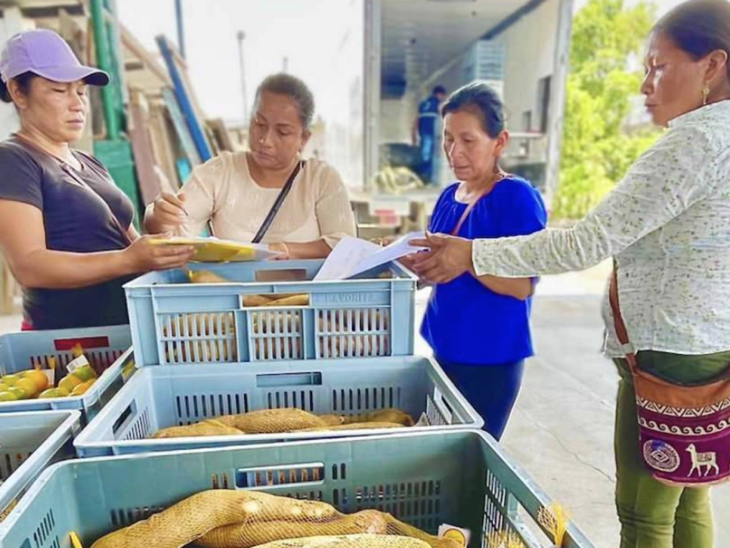 Classification: networking/expo
Trabajadoras rurales en México revisan la cosecha en cajas. Agricultura sostenible y comercio justo impulsan el desarrollo económico local.