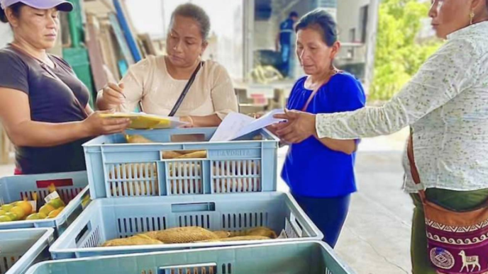 Classification: networking/expo
Trabajadoras rurales en México revisan la cosecha en cajas. Agricultura sostenible y comercio justo impulsan el desarrollo económico local.