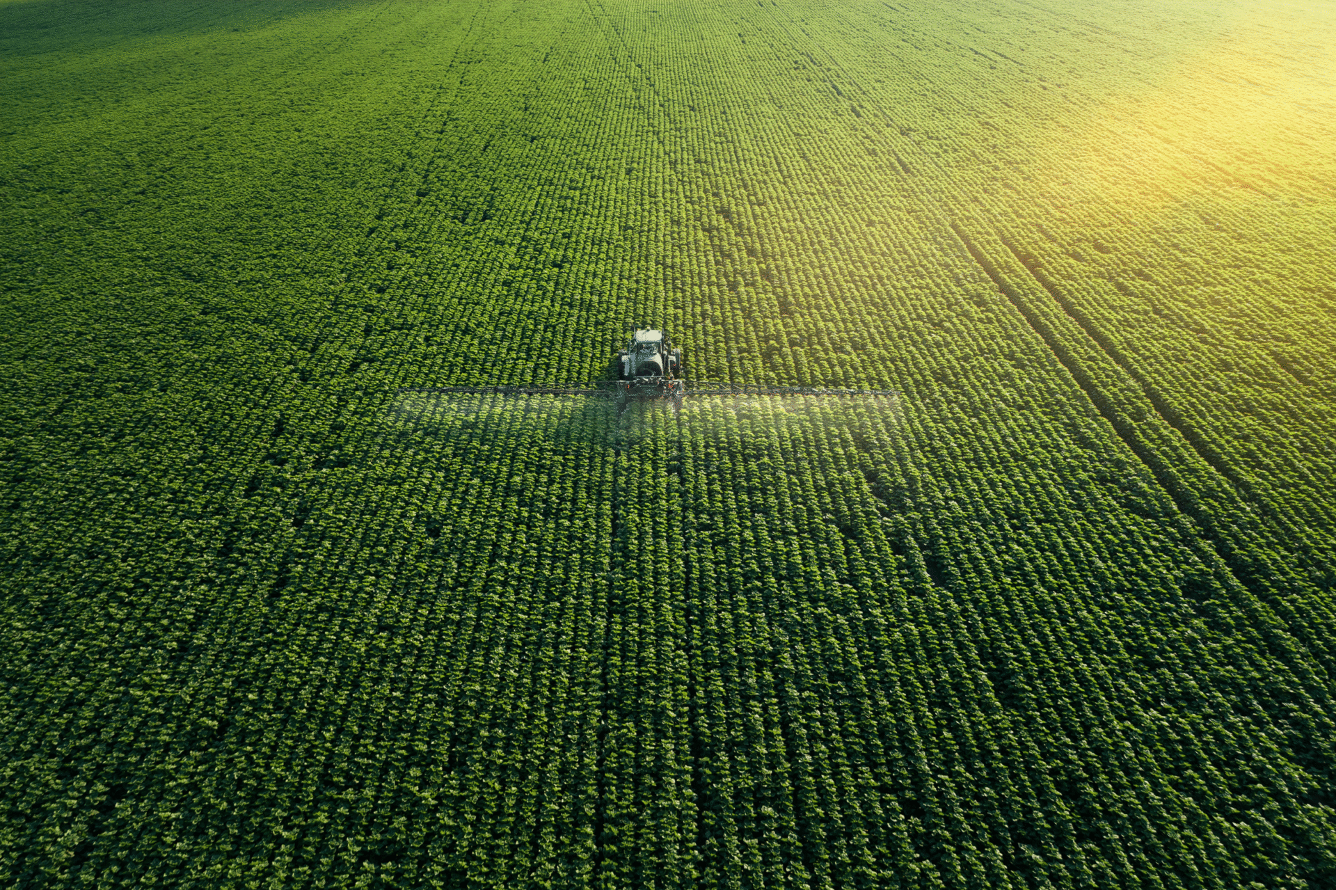 Vista aérea de tractor aplicando fertilizante en campo de fosfatos. Producción sostenible y avance agrícola con tecnología moderna. Imagen verde 125