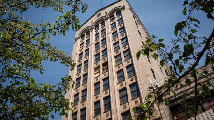 Edificio de oficinas antiguo en CDMX con posible reconversión, visto desde abajo a través de las ramas de los árboles, cielo azul. Beneficios fiscales.