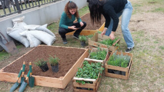 The classification is: venue/architecture.
Dos personas trabajando en un huerto urbano. Cajas de madera con plantas y herramientas. Proyecto inmobiliario con enfoque sostenible.