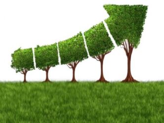 Sponsors/branding.

Crecimiento del mercado inmobiliario: árboles podados en forma de flecha ascendente. Inmobiliare Summits, real estate, Mexico.