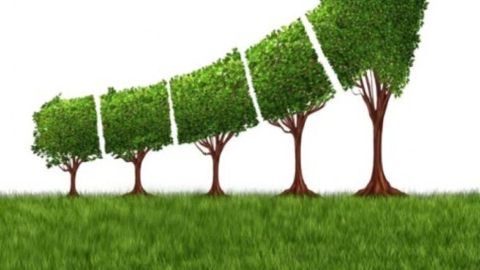 Sponsors/branding.

Crecimiento del mercado inmobiliario: árboles podados en forma de flecha ascendente. Inmobiliare Summits, real estate, Mexico.