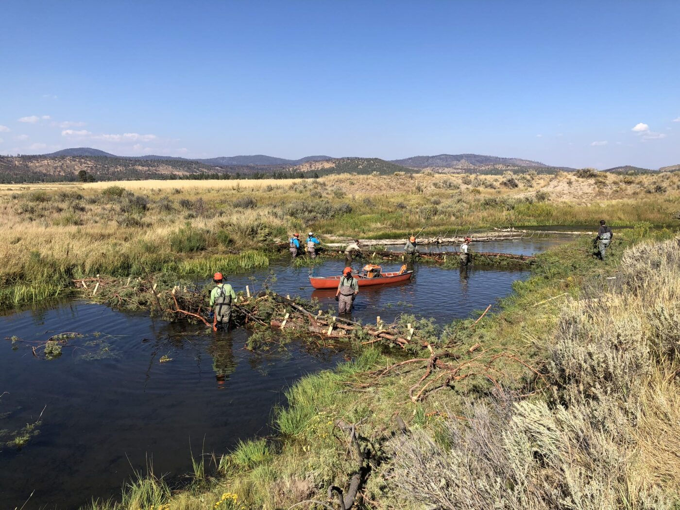 Restauración del Río Klamath: Grupo trabajando en el agua con una canoa, construyendo barreras de troncos, modelo de sostenibilidad fluvial.