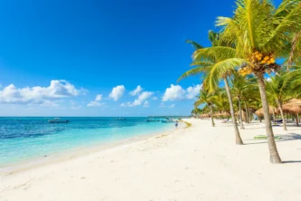 city/destination
Playa paradisíaca en México, posible sede de Inmobiliare Summits. Arena blanca, mar turquesa y palmeras. Destino ideal para conferencia LATAM.