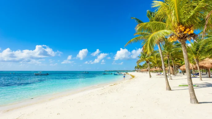 city/destination
Playa paradisíaca en México, posible sede de Inmobiliare Summits. Arena blanca, mar turquesa y palmeras. Destino ideal para conferencia LATAM.