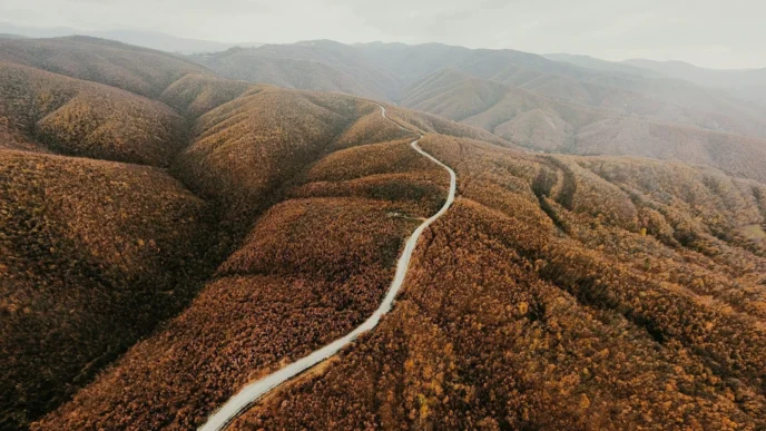 Vista aérea de carretera serpenteante entre montañas boscosas. Impacto visual en tasa de interés hipotecaria de 9.8% en 2024. Paisaje otoñal.