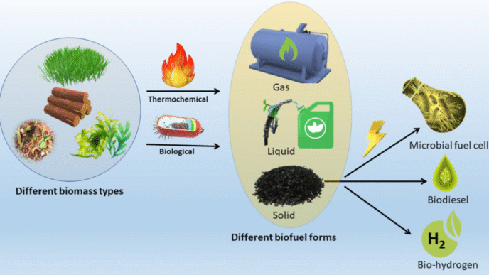 Diagrama de tecnología de conversión de biomasa en gas, líquido y sólido, impactando el sector inmobiliario con biocombustibles y celdas microbianas.