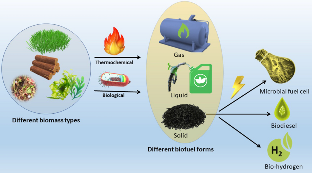 Diagrama de tecnología de conversión de biomasa en gas, líquido y sólido, impactando el sector inmobiliario con biocombustibles y celdas microbianas.