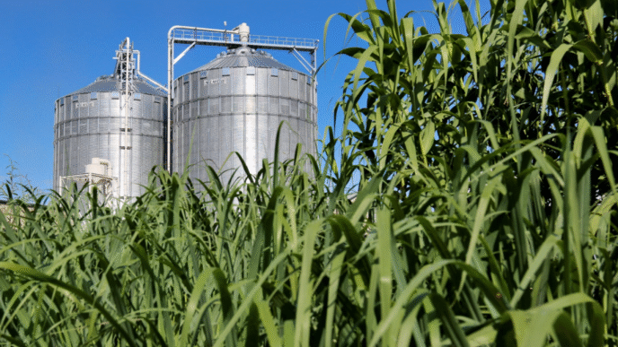 Dos silos metálicos para almacenar biomasa, materia prima para combustibles renovables, vistos entre la vegetación. Innovación tecnológica.