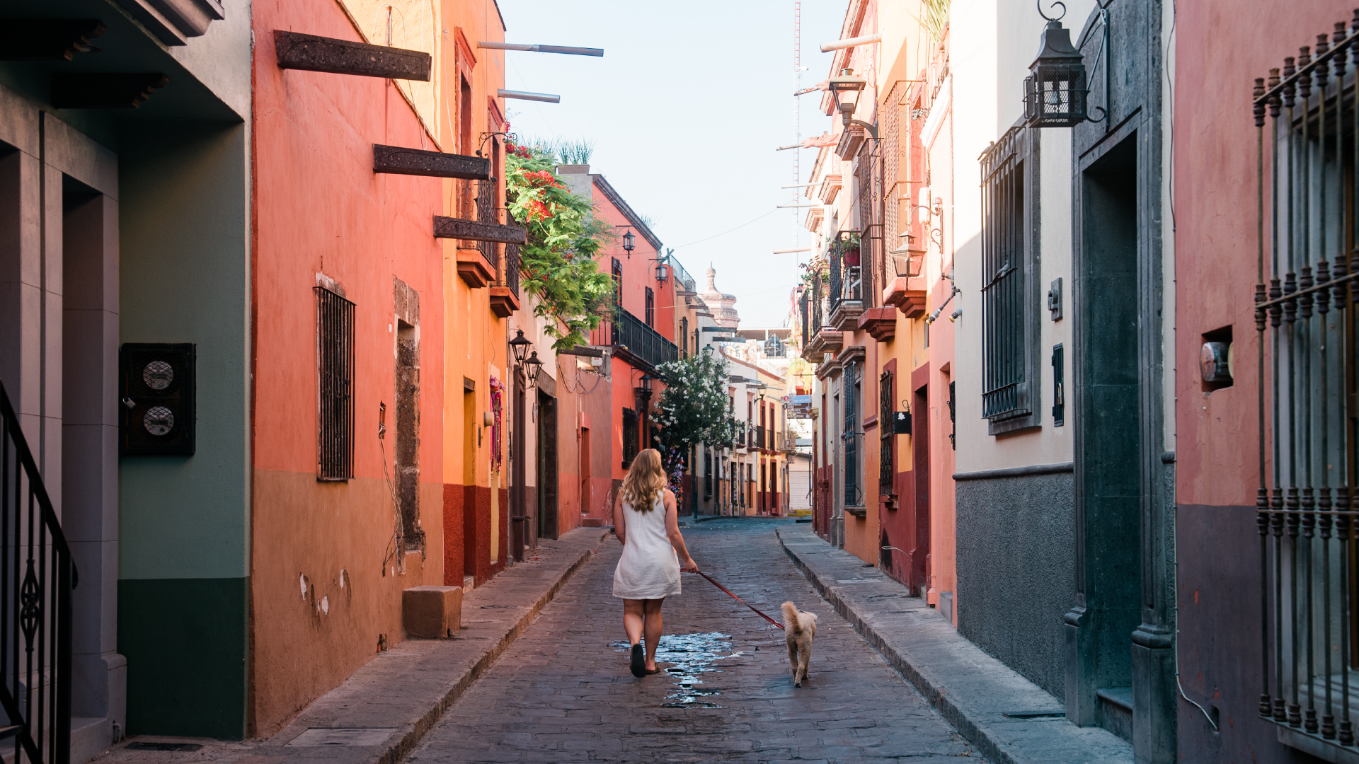 city/destination
Calle pintoresca en México. Arquitectura colorida en San Miguel de Allende, destino turístico popular. Inmobiliare Summits LATAM.
