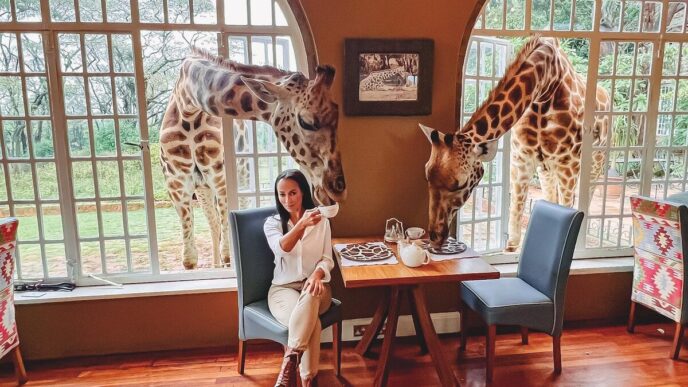Mujer disfrutando té con jirafas en hotel único. Experiencia inolvidable y lujosa. Hoteles donde las jirafas son parte de tu experiencia en África.