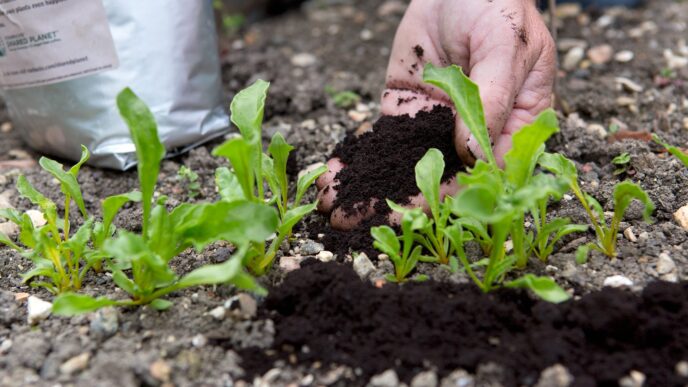 No context provided to perform the requested task.