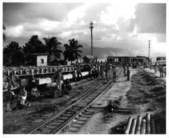 venue/architecture

Construcción del Tren Maya en México. Vista general de trabajadores en la vía férrea. Proyecto de infraestructura en LATAM.