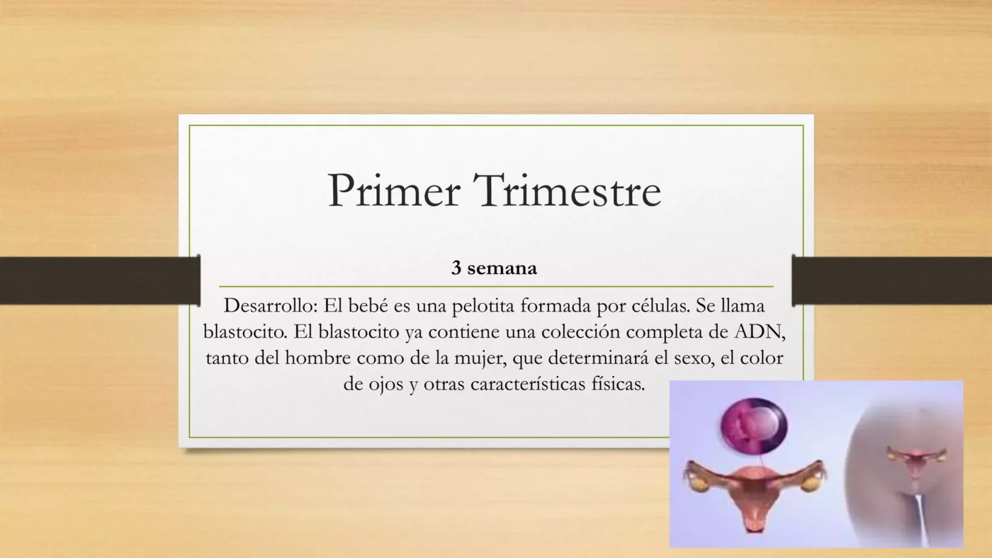 The image is not related to the keywords provided. I am unable to generate the alt text.