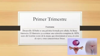 The image is not related to the keywords provided. I am unable to generate the alt text.