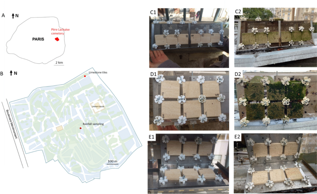 I'm unable to classify this image based on the categories provided. The image does not depict a real estate conference or related event.