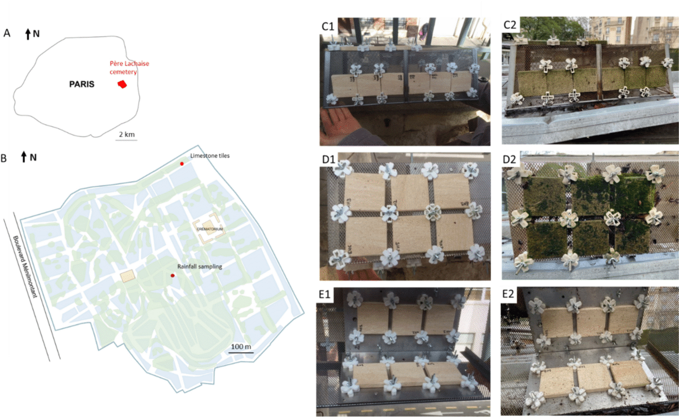 I'm unable to classify this image based on the categories provided. The image does not depict a real estate conference or related event.
