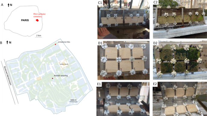 I'm unable to classify this image based on the categories provided. The image does not depict a real estate conference or related event.