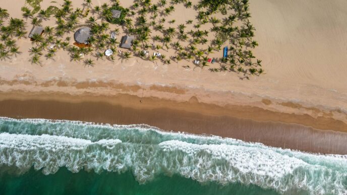 Vista aérea de playa en Tampico, ideal para vivienda turística. Palmeras, olas y arena dorada. Un sector que necesita atención según AMPI.