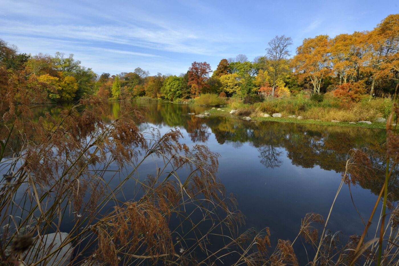 Paisaje otoñal en Prospect Park, Brooklyn, con árboles reflejados en el agua. Inversión para convertirlo en 'esponja urbana' contra inundaciones.