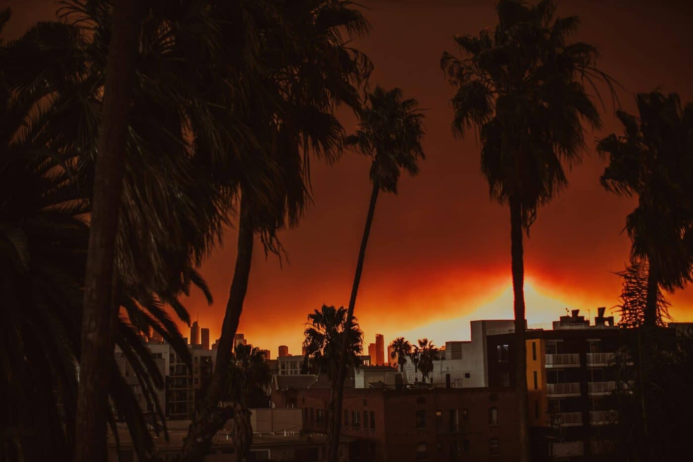 Palmeras y edificios en Los Ángeles se ven oscuros frente a un cielo naranja al atardecer.