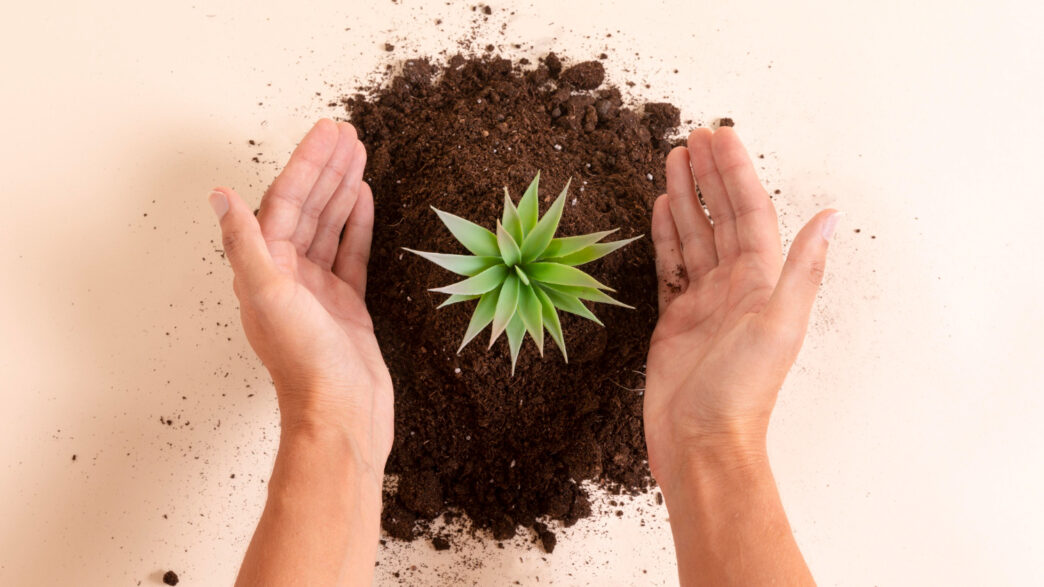 funo-regeneracion-ecosistemas-inmobiliare-capital