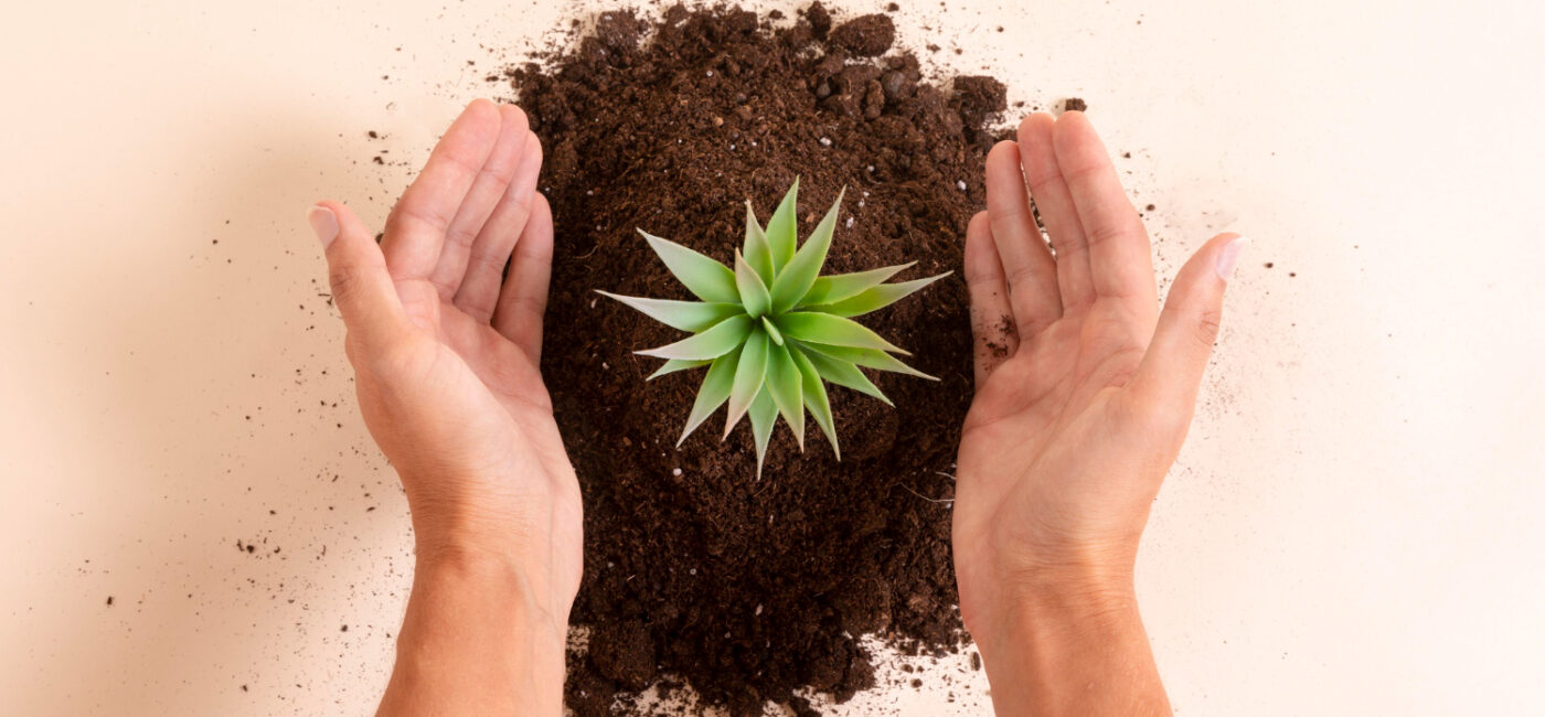funo-regeneracion-ecosistemas-inmobiliare-capital