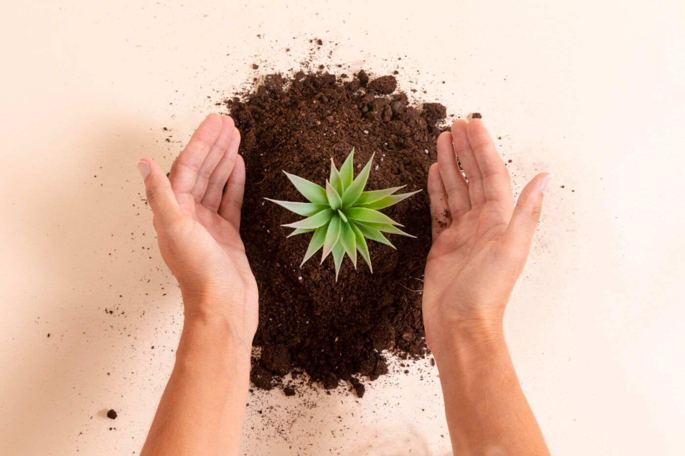 funo-regeneracion-ecosistemas-inmobiliare-capital