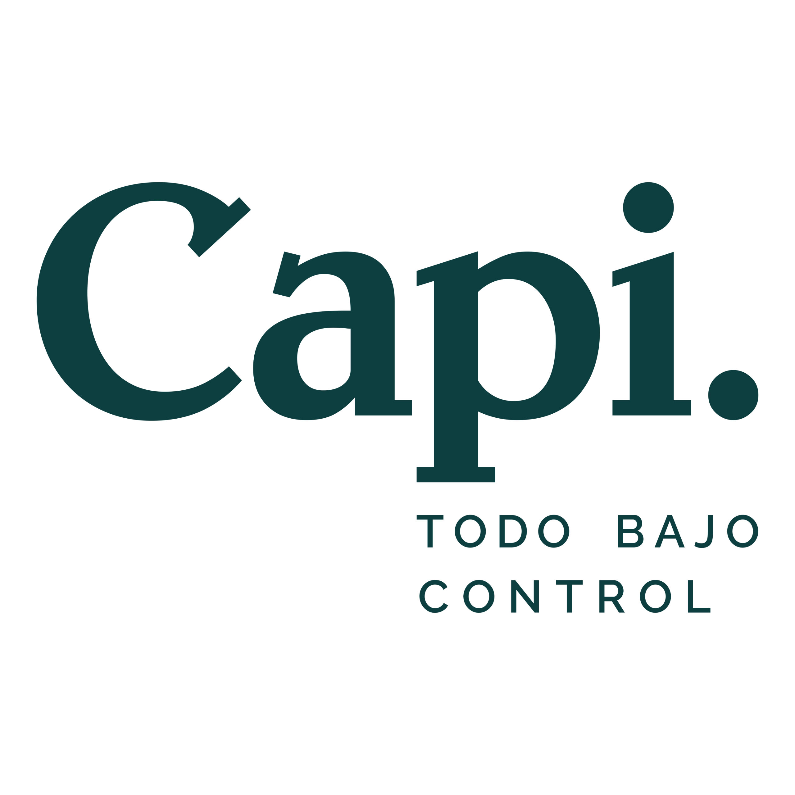 CAPI